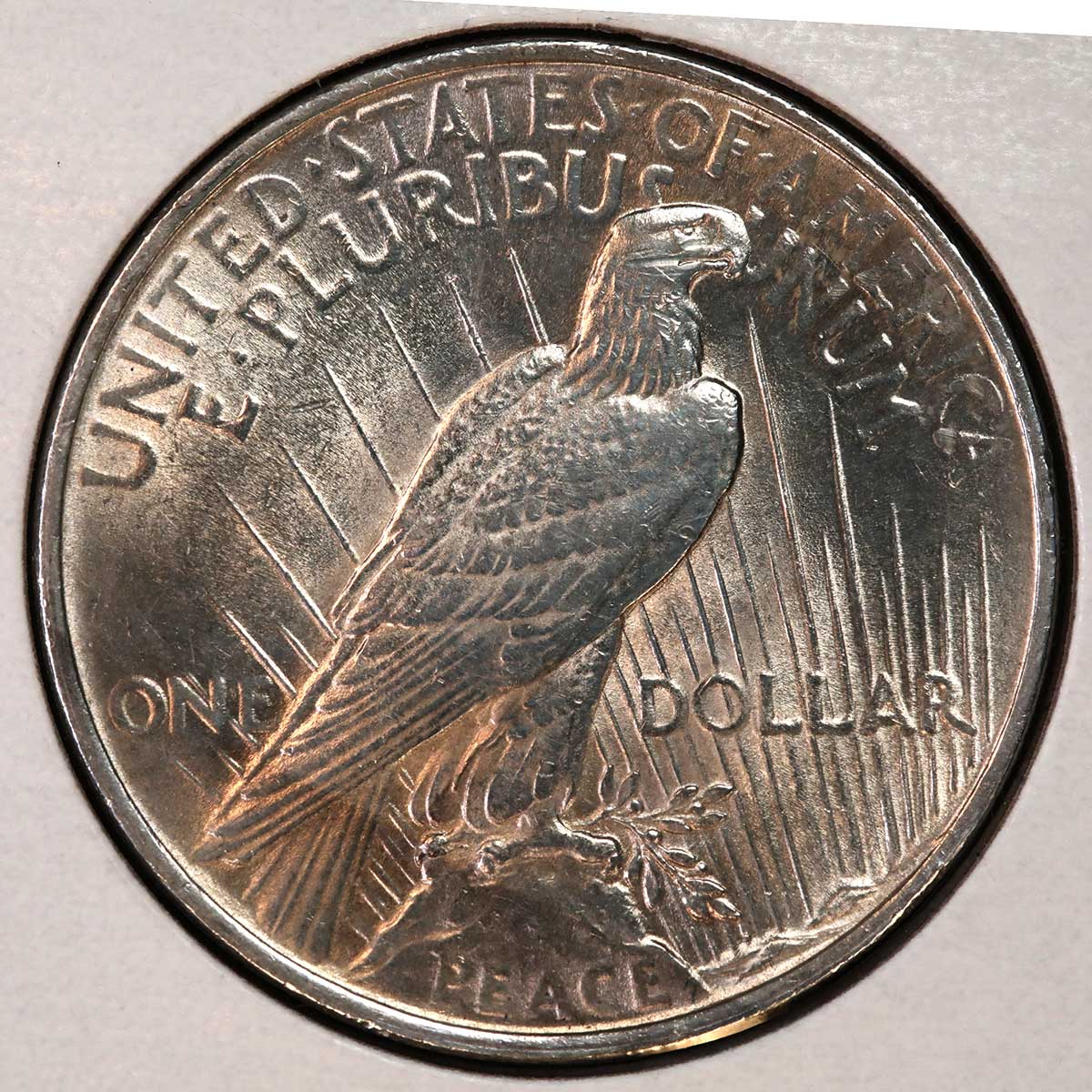 1924-Peace-Dollar-Overpolish?
